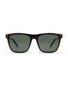 vibe mens brown demi wayfarer shades poppy eyewear