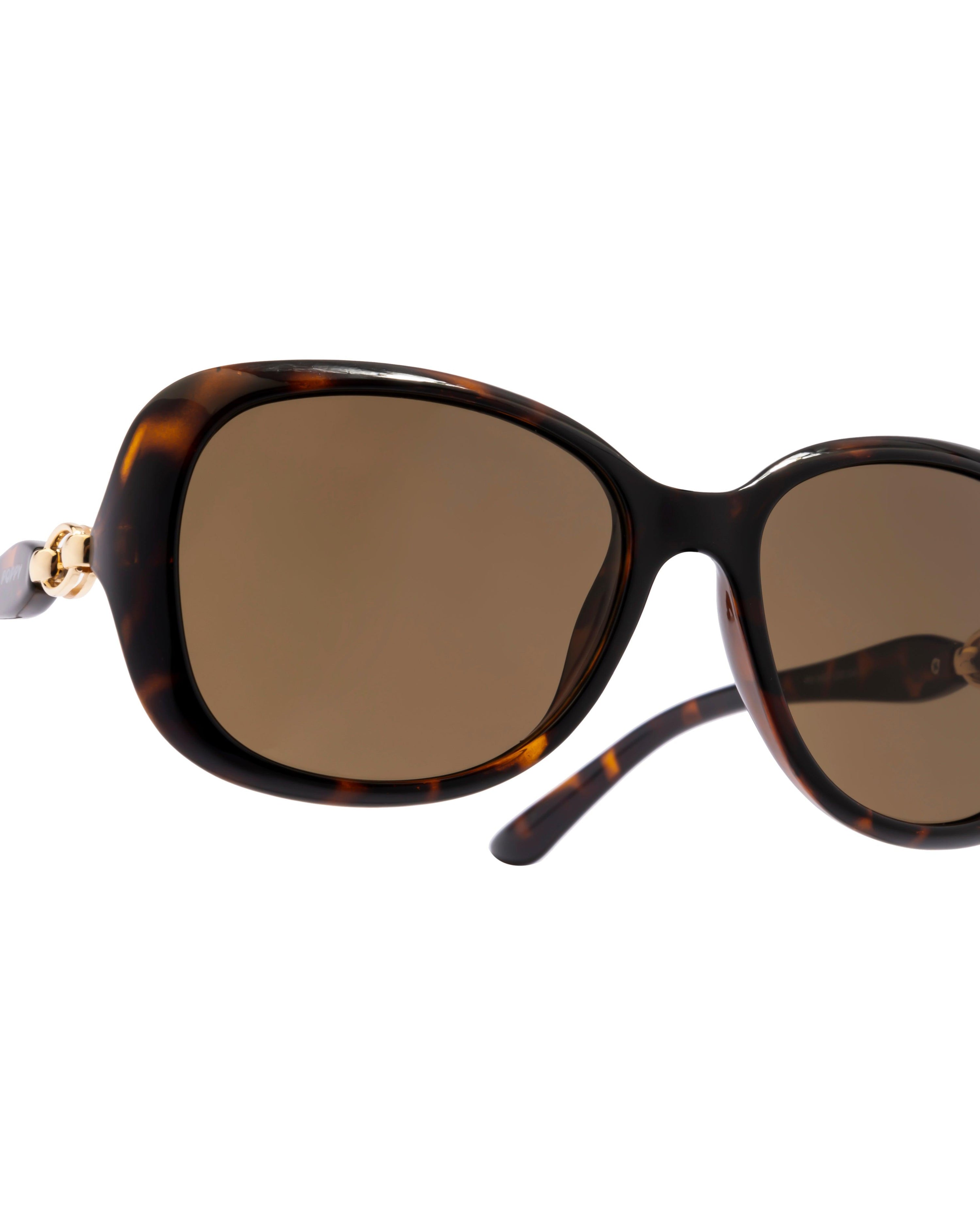 madame butterfly frame brown sunglasses poppy eyewear